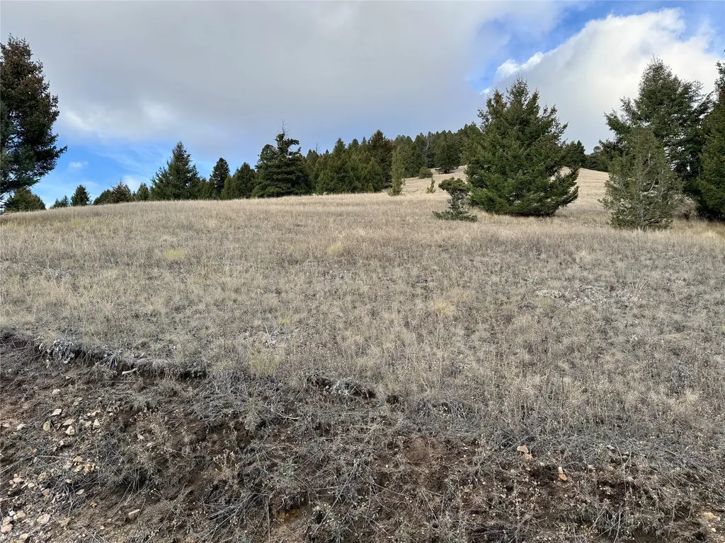 Lot 1 Scranton Lode Philipsburg MT 59858