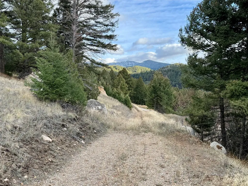Lot 1 Scranton Lode Philipsburg MT 59858