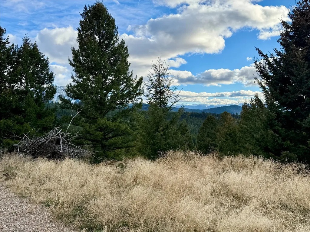 Lot 1 Scranton Lode Philipsburg MT 59858