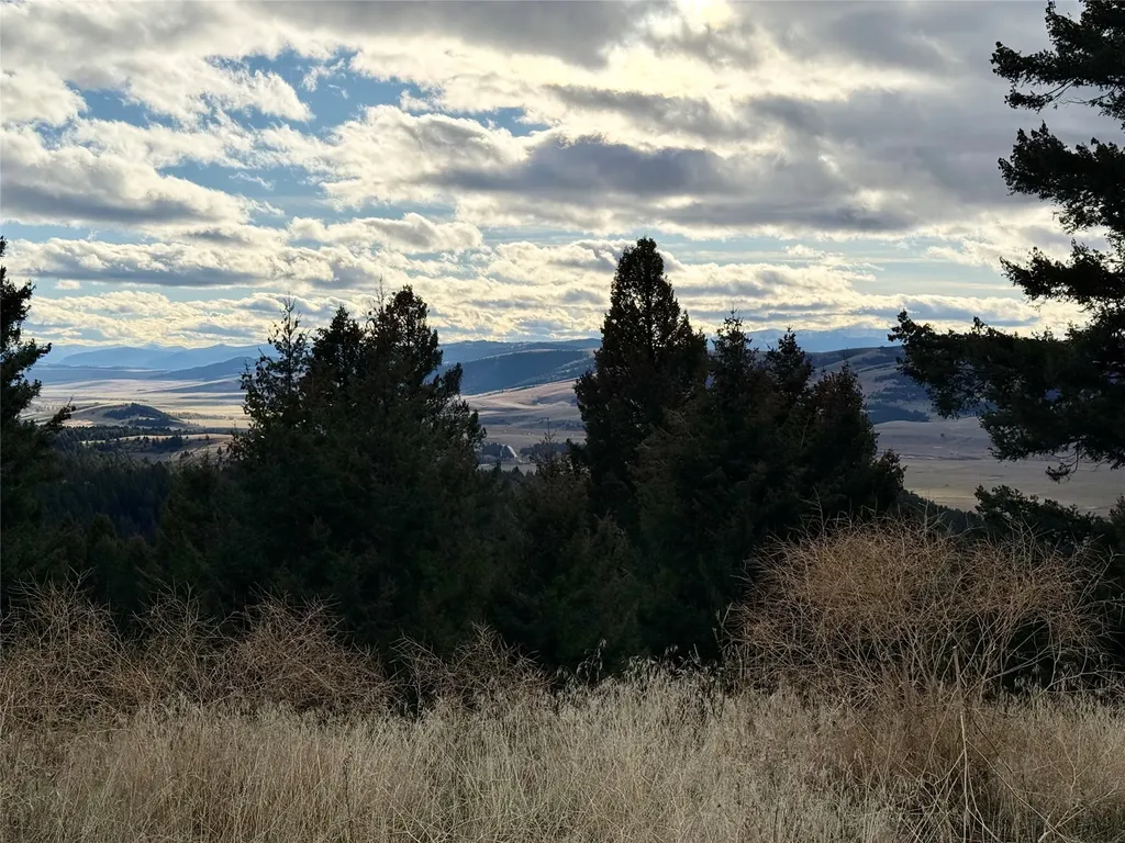 Lot 1 Scranton Lode Philipsburg MT 59858