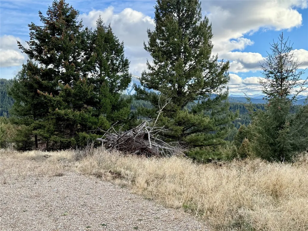 Lot 1 Scranton Lode Philipsburg MT 59858