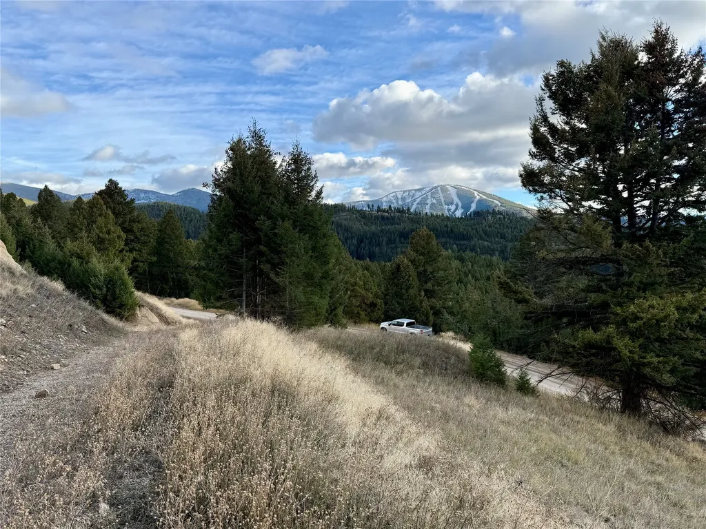 Lot 1 Scranton Lode Philipsburg MT 59858