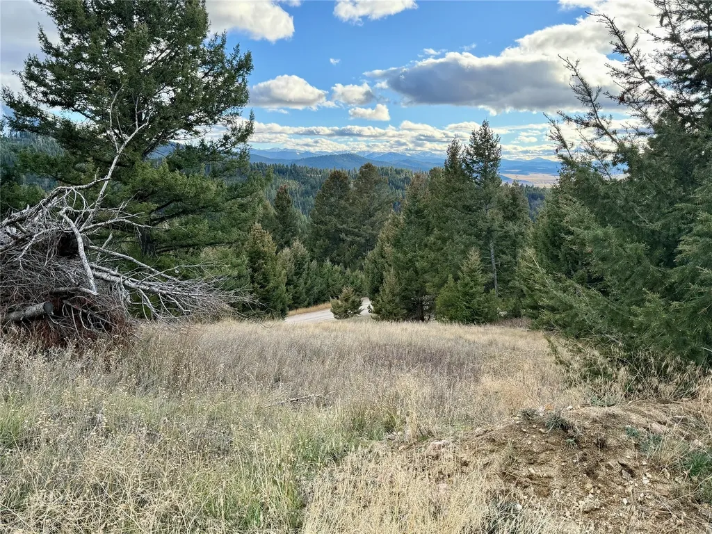 Lot 1 Scranton Lode Philipsburg MT 59858
