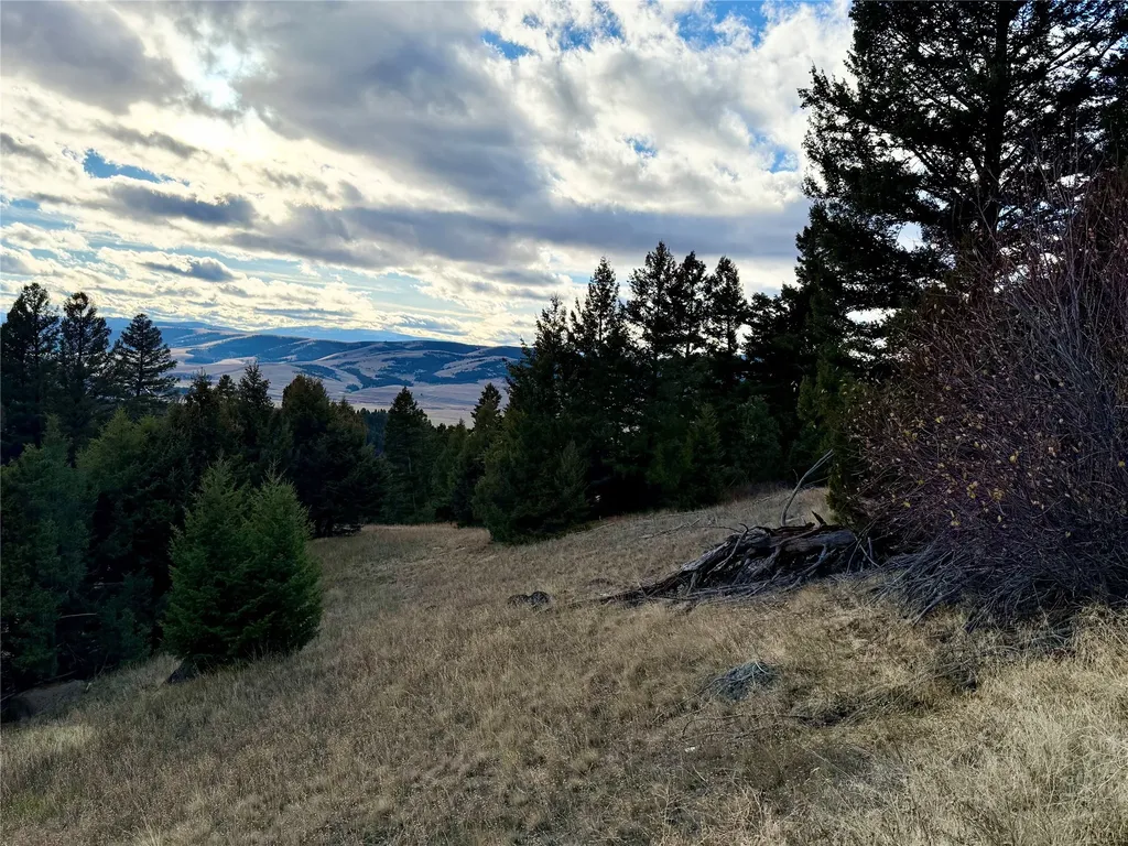 Lot 1 Scranton Lode Philipsburg MT 59858