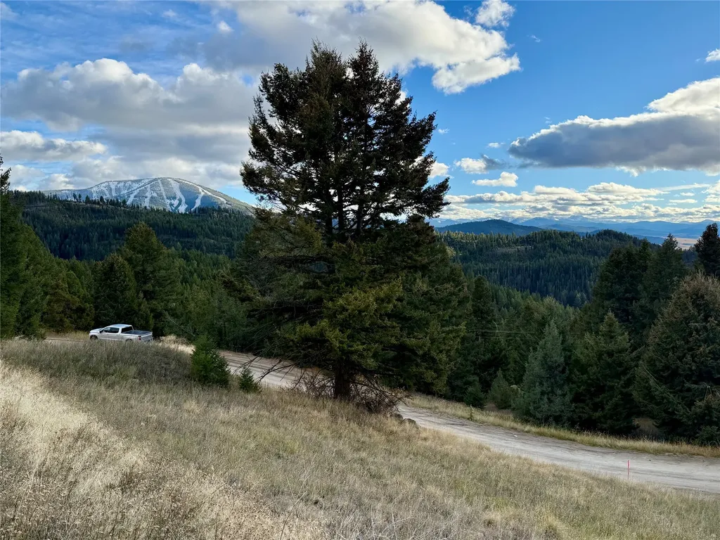 Lot 1 Scranton Lode Philipsburg MT 59858