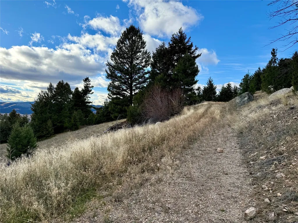 Lot 1 Scranton Lode Philipsburg MT 59858