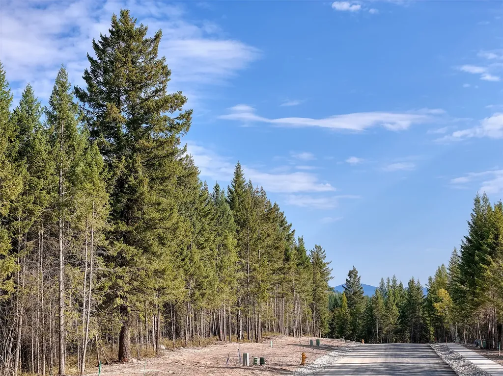 Tbd Lot #81 Meadow Lake Drive Columbia Falls MT 59912