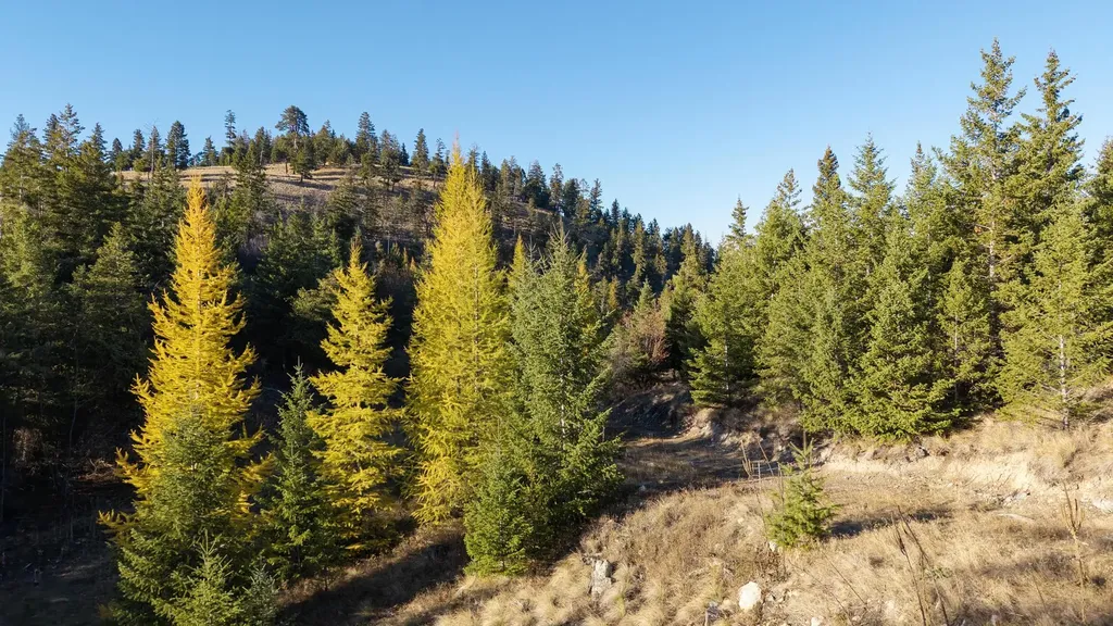 351 Ridge Line Drive Lakeside MT 59922
