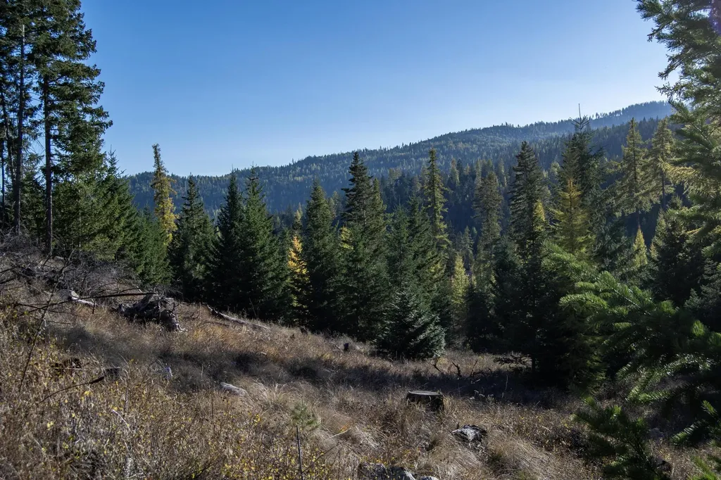 351 Ridge Line Drive Lakeside MT 59922