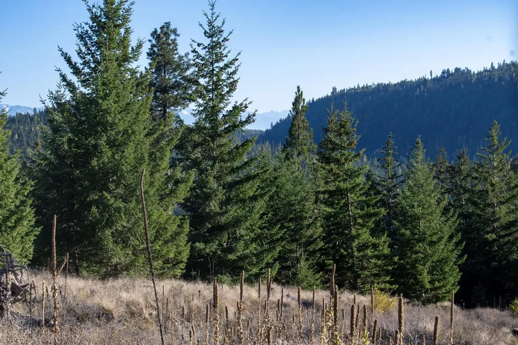 351 Ridge Line Drive Lakeside MT 59922