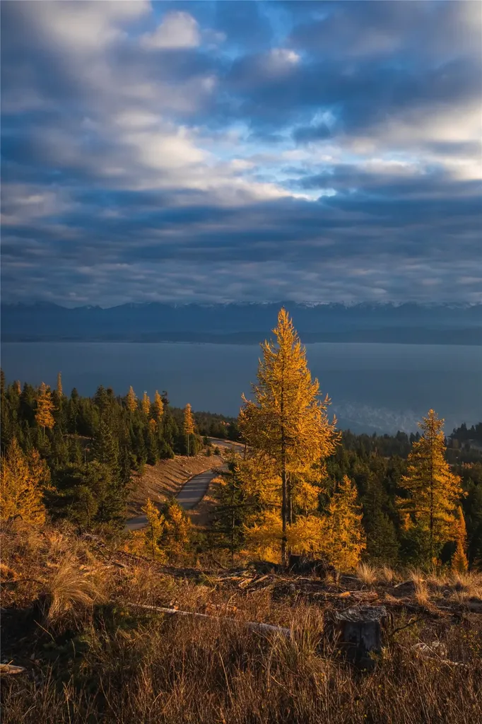 351 Ridge Line Drive Lakeside MT 59922