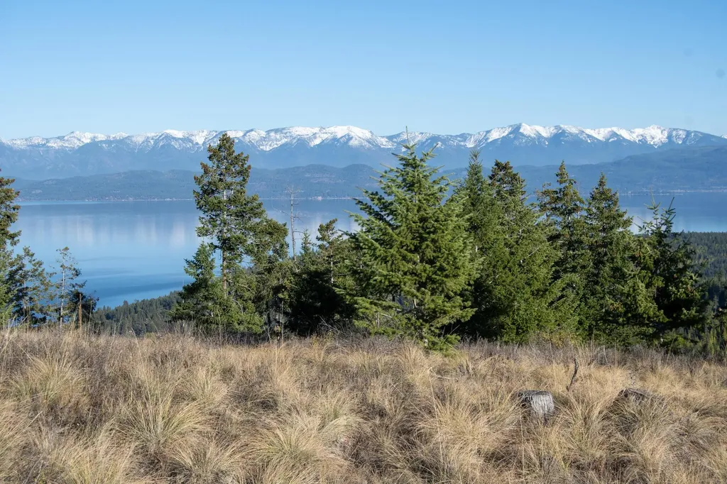 351 Ridge Line Drive Lakeside MT 59922