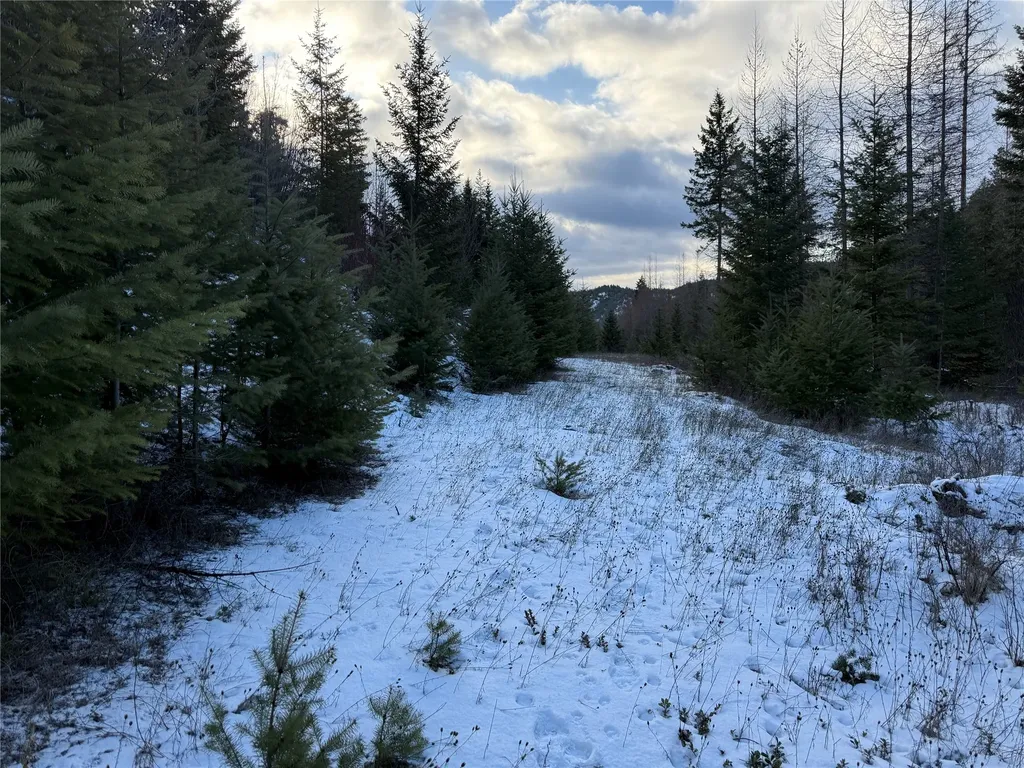 351 Ridge Line Drive Lakeside MT 59922