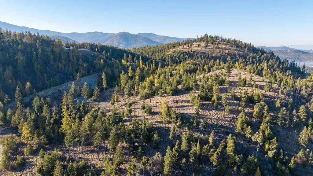 351 Ridge Line Drive Lakeside MT 59922
