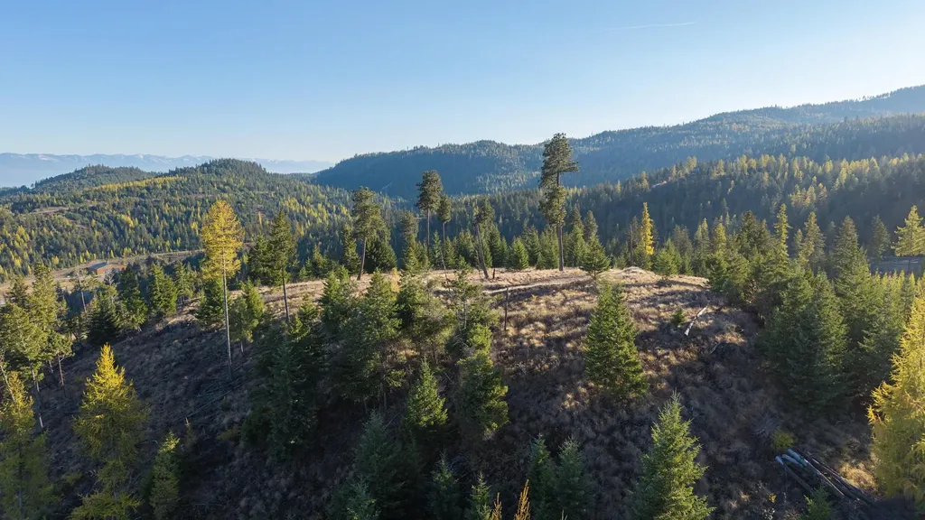 351 Ridge Line Drive Lakeside MT 59922