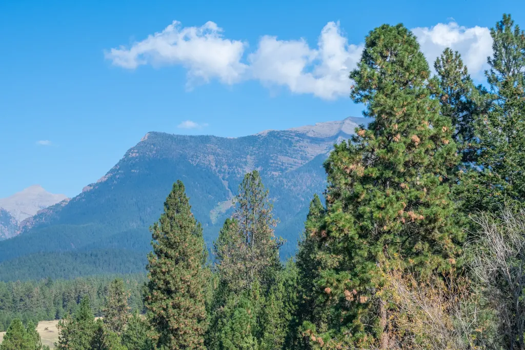 38712 Saint Marys Lake Road St Ignatius MT 59865