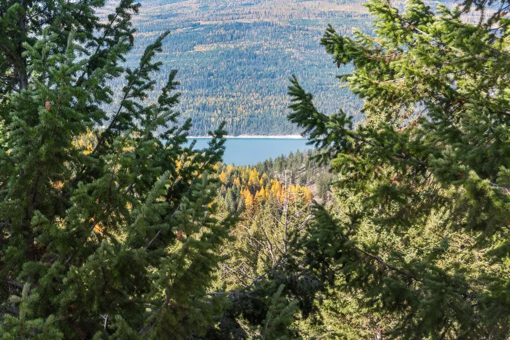 Nhn Paradise Ridge Road Rexford MT 59930