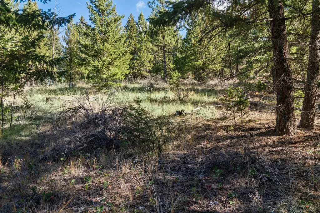 Nhn Paradise Ridge Road Rexford MT 59930