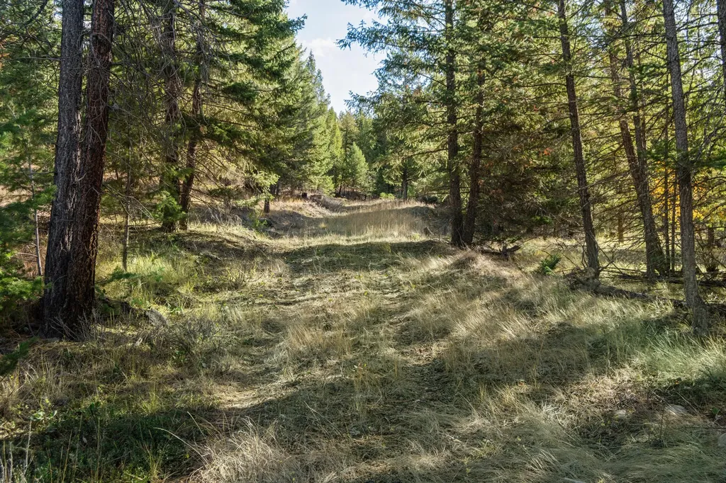 Nhn Paradise Ridge Road Rexford MT 59930