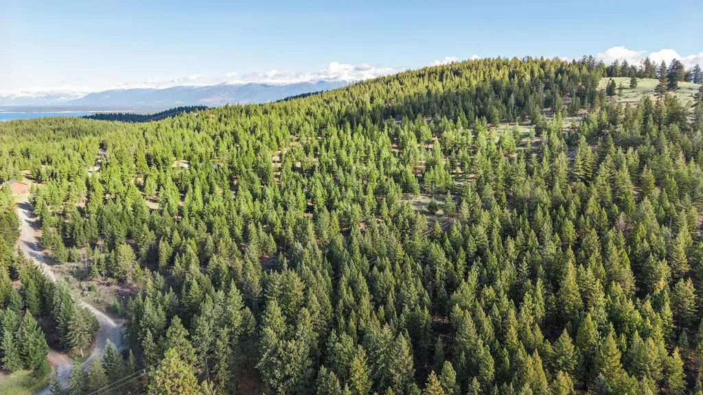 Nhn Paradise Ridge Road Rexford MT 59930