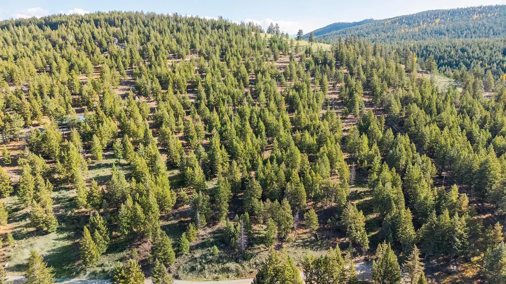 Nhn Paradise Ridge Road Rexford MT 59930