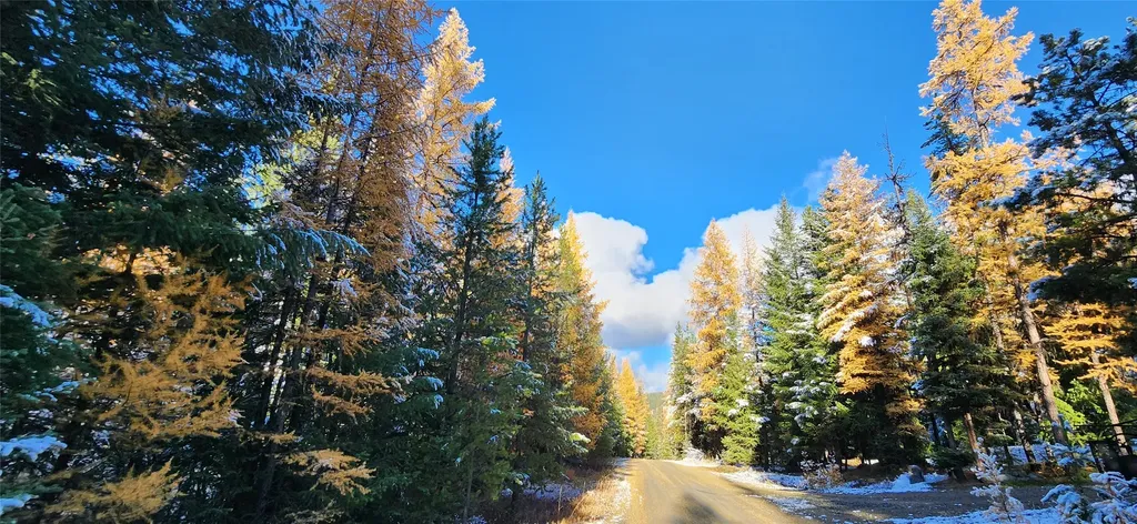 Lot 8 Tamarack Lane Rexford MT 59930