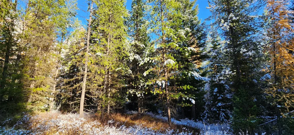 Lot 8 Tamarack Lane Rexford MT 59930