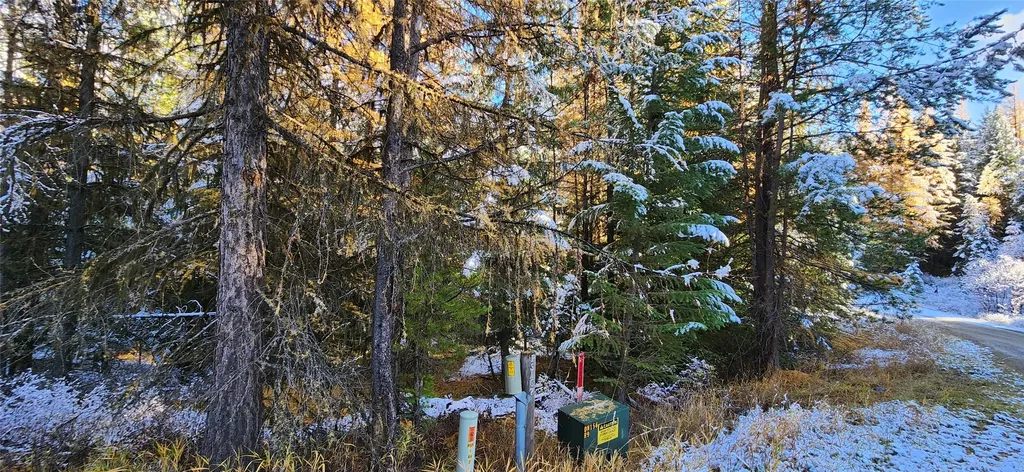 Lot 8 Tamarack Lane Rexford MT 59930