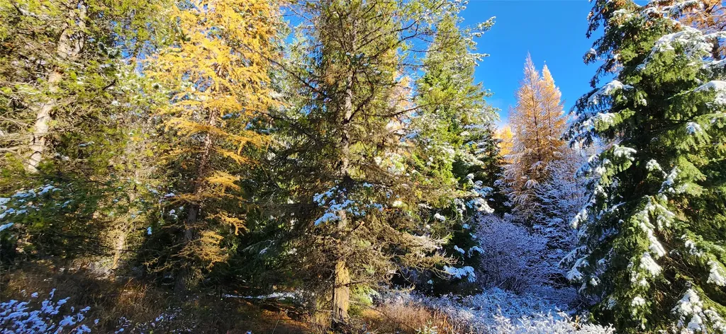 Lot 8 Tamarack Lane Rexford MT 59930