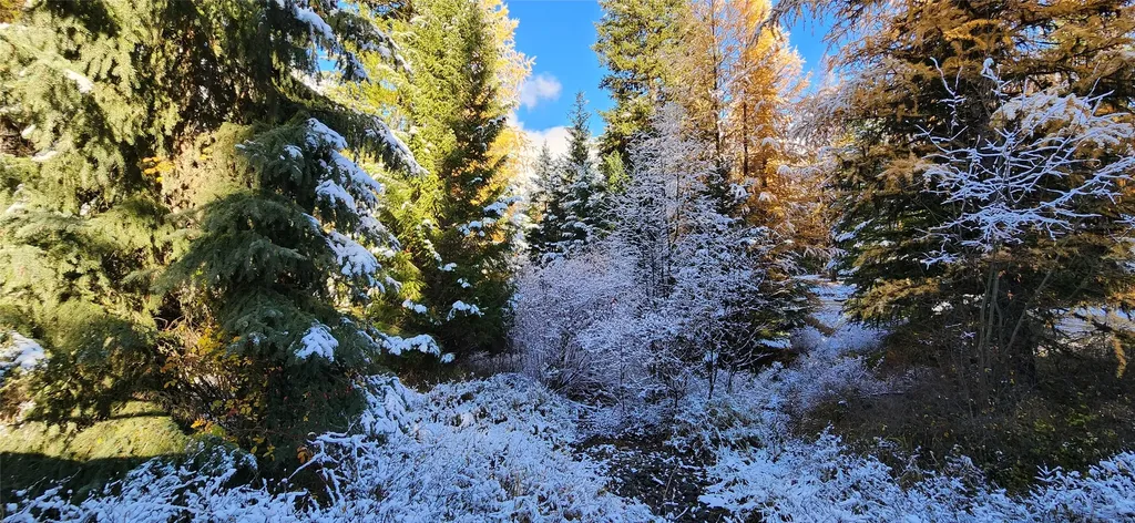 Lot 8 Tamarack Lane Rexford MT 59930