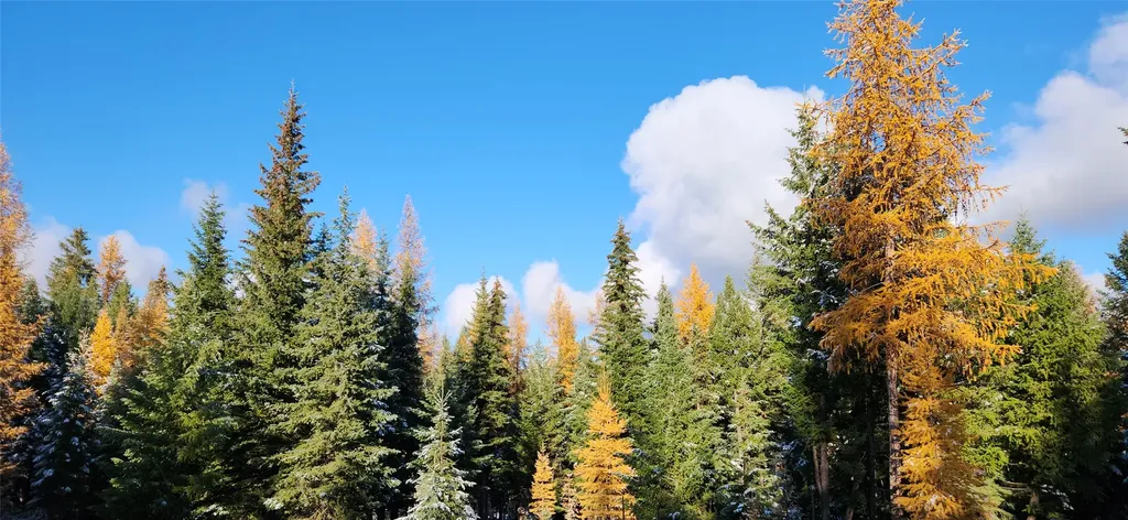 Lot 8 Tamarack Lane Rexford MT 59930
