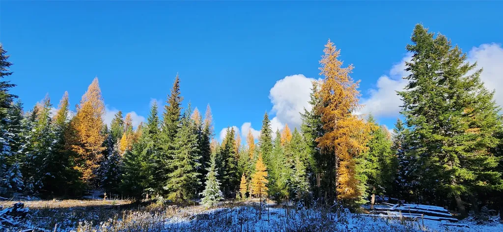 Lot 8 Tamarack Lane Rexford MT 59930