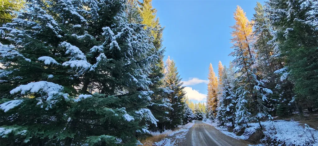 Lot 8 Tamarack Lane Rexford MT 59930