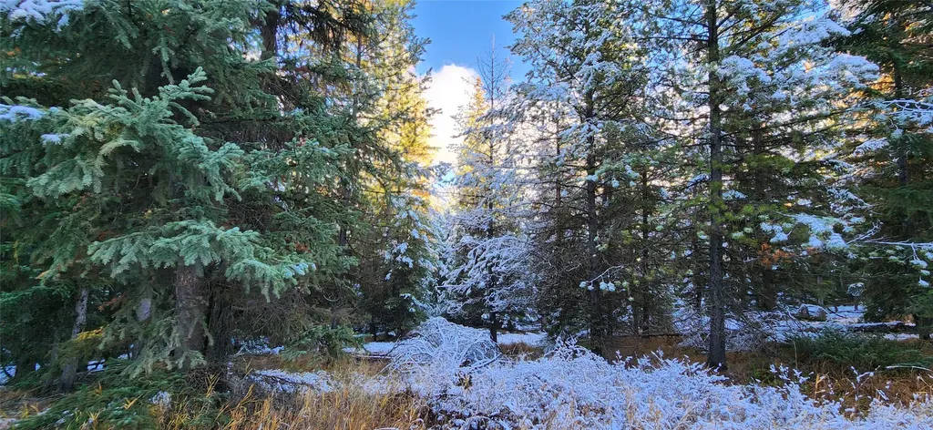 Lot 8 Tamarack Lane Rexford MT 59930
