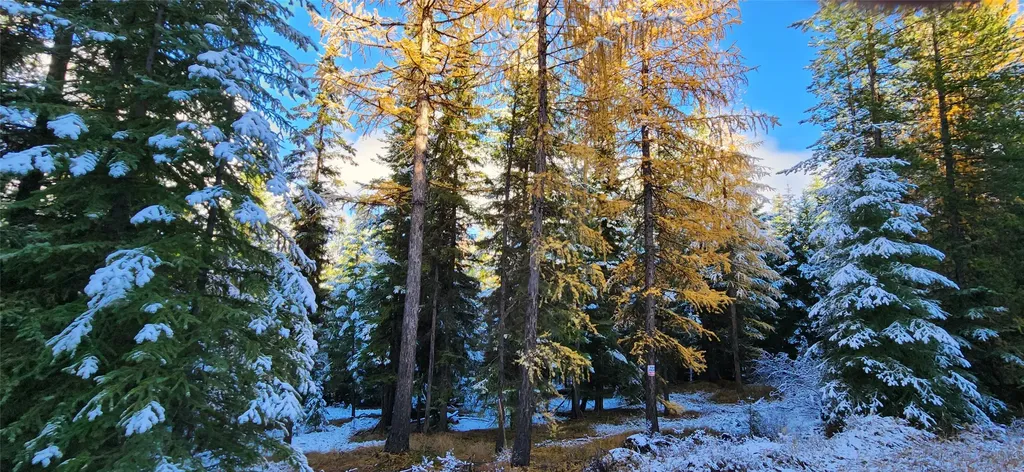Lot 8 Tamarack Lane Rexford MT 59930