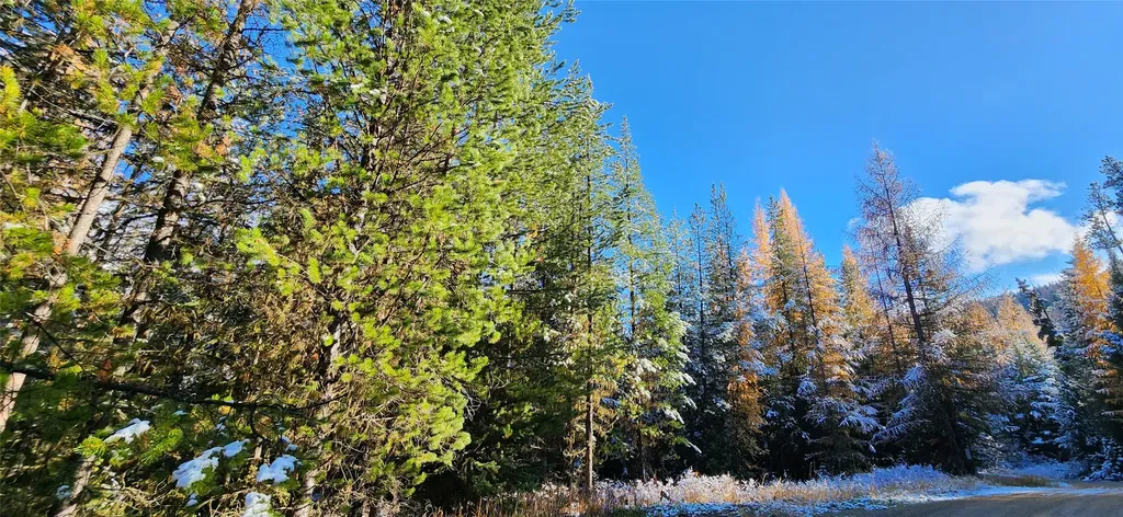 Lot 8 Tamarack Lane Rexford MT 59930