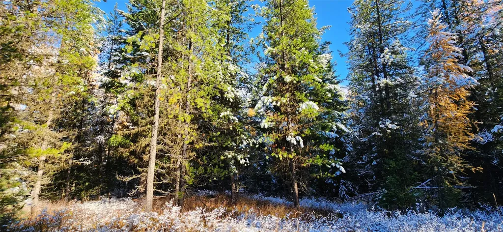 Lot 8 Tamarack Lane Rexford MT 59930
