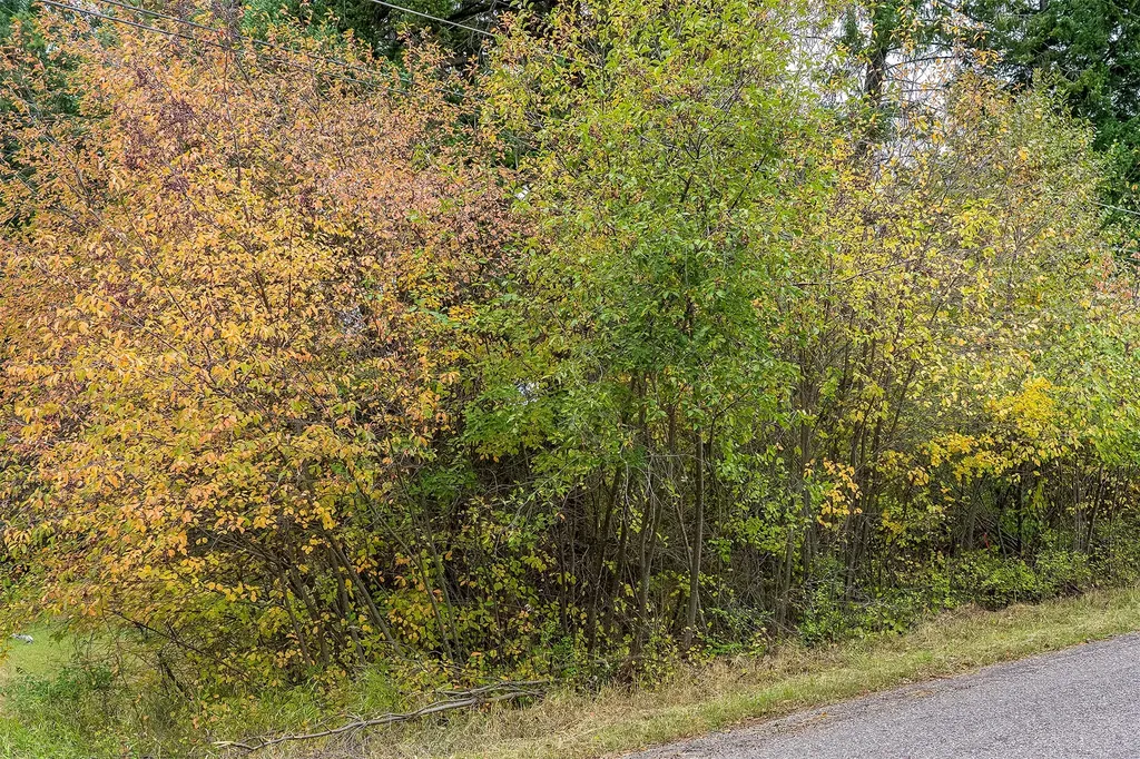 1327 1st Avenue E Columbia Falls MT 59912