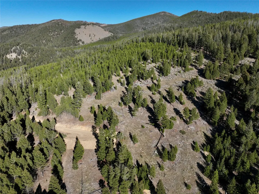 Lot 6 Ruby Mine Road Butte MT 59701