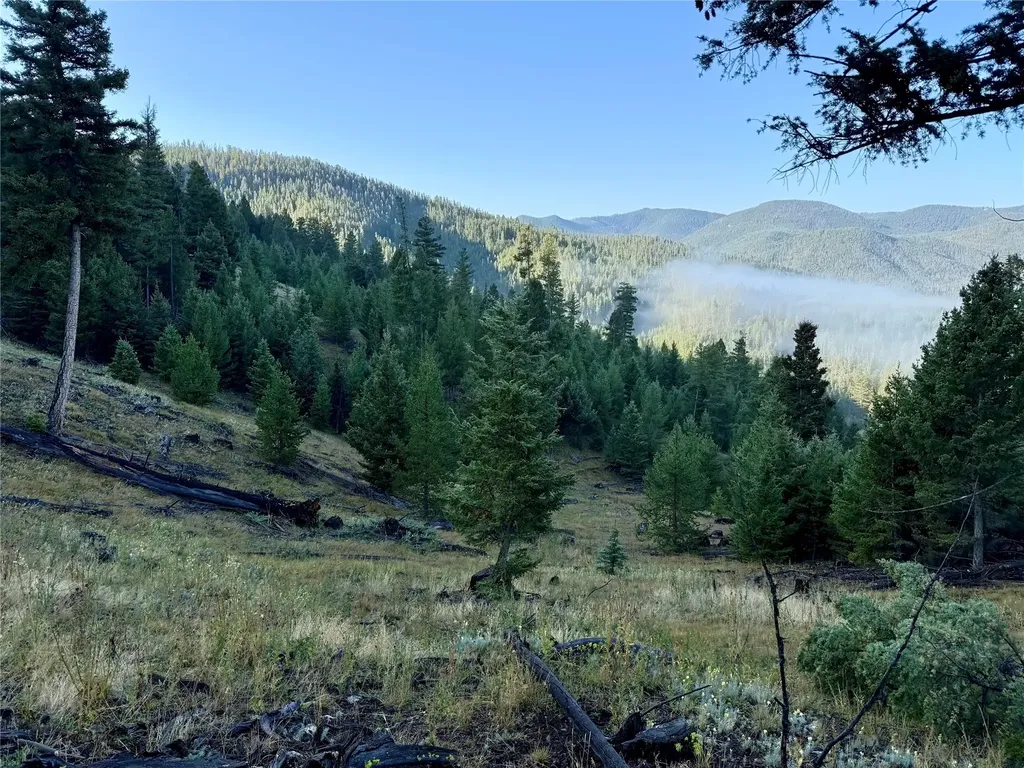 Lot 6 Ruby Mine Road Butte MT 59701