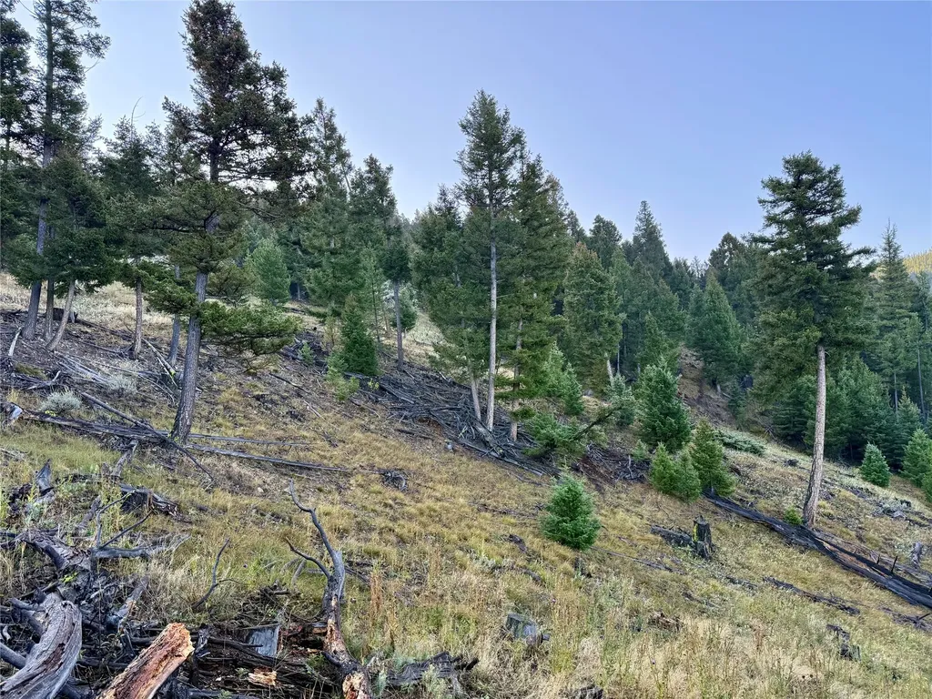 Lot 6 Ruby Mine Road Butte MT 59701