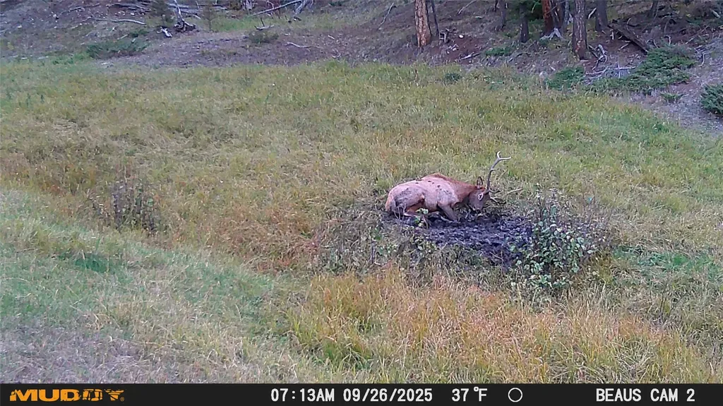 Lot 6 Ruby Mine Road Butte MT 59701