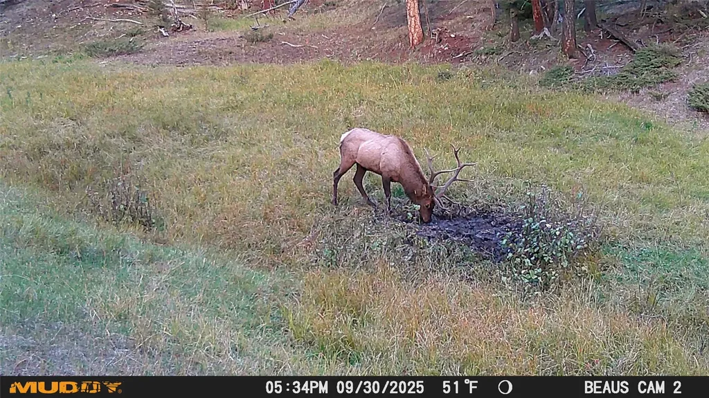 Lot 6 Ruby Mine Road Butte MT 59701