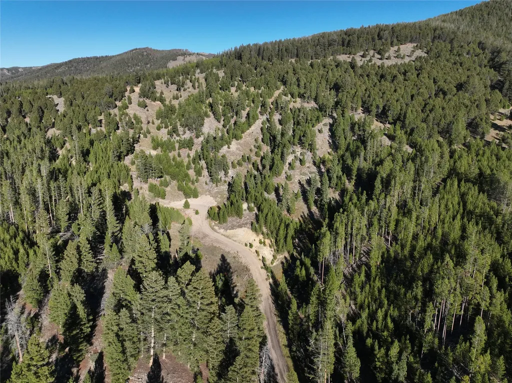 Lot 6 Ruby Mine Road Butte MT 59701
