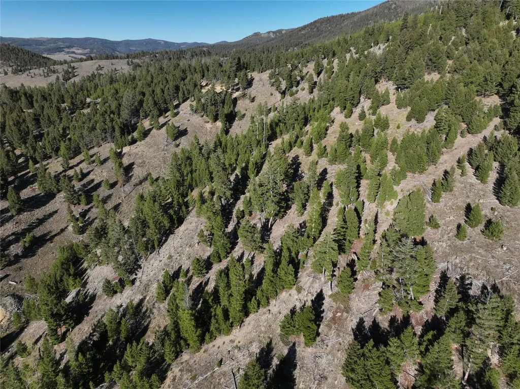 Lot 6 Ruby Mine Road Butte MT 59701