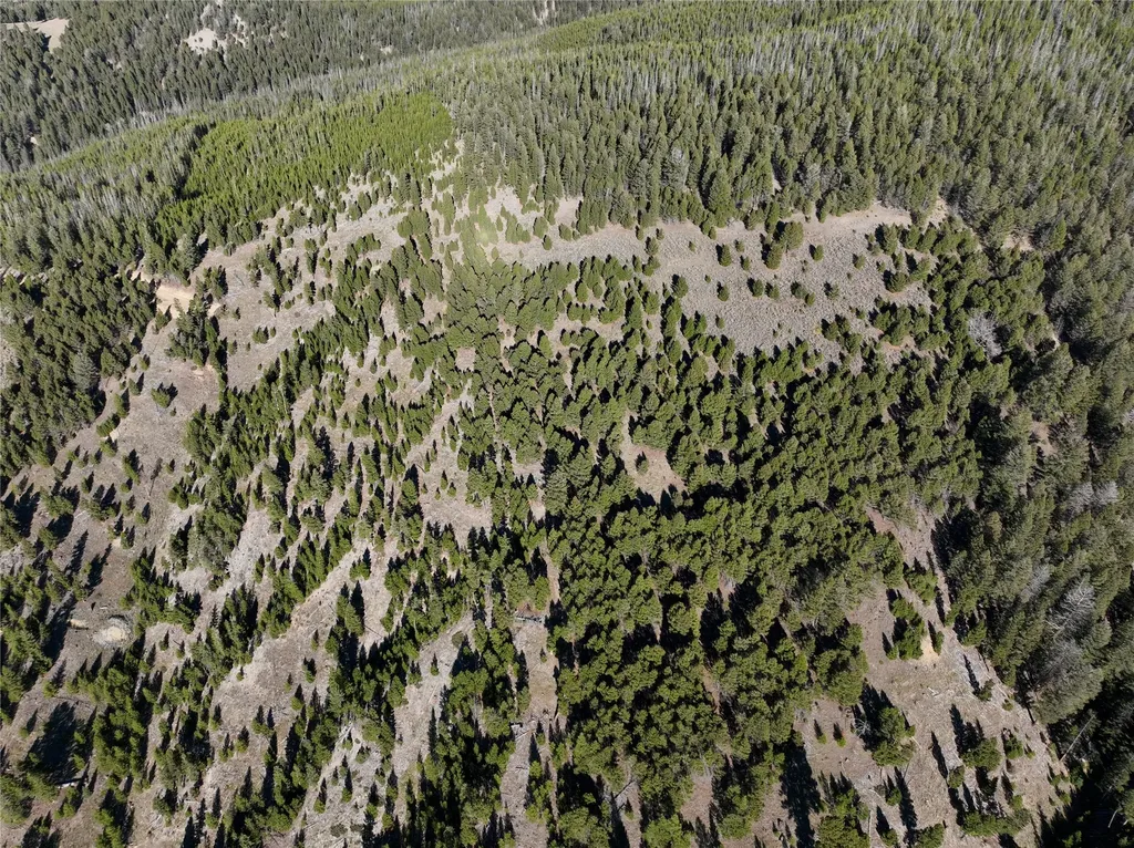 Lot 6 Ruby Mine Road Butte MT 59701