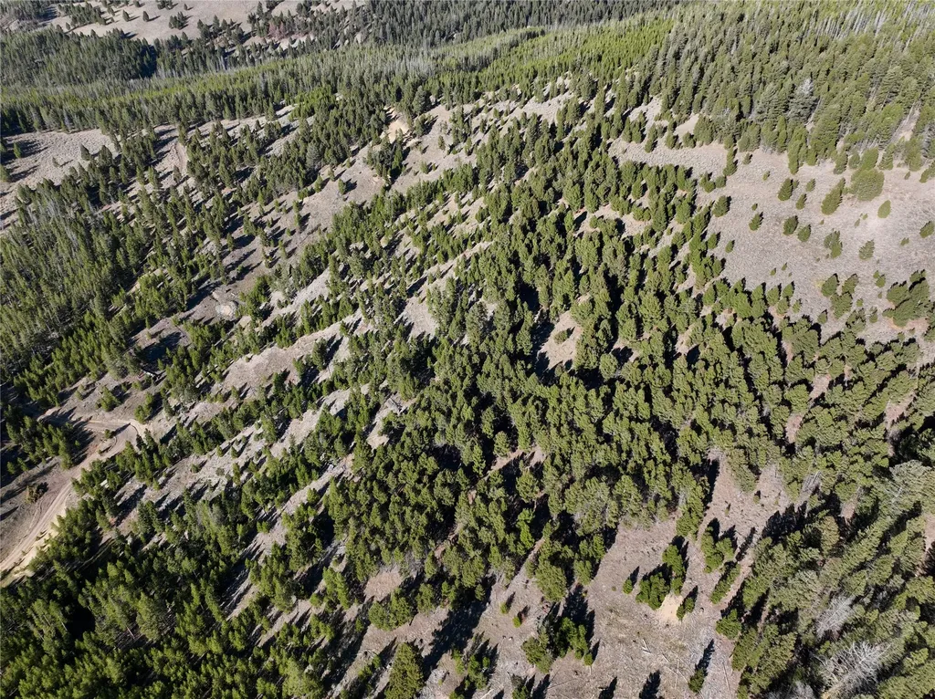 Lot 6 Ruby Mine Road Butte MT 59701