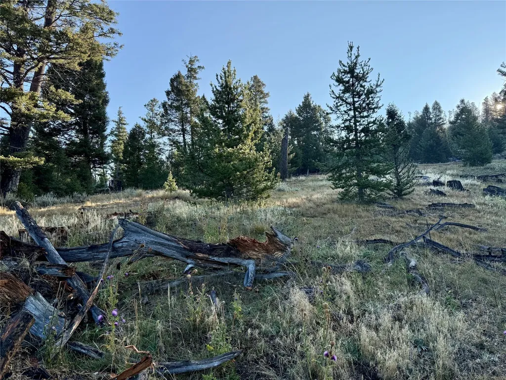 Lot 6 Ruby Mine Road Butte MT 59701