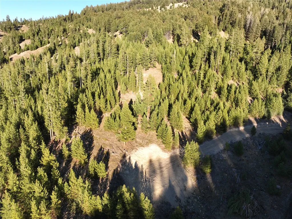 Lot 5 Ruby Mine Road Butte MT 59701