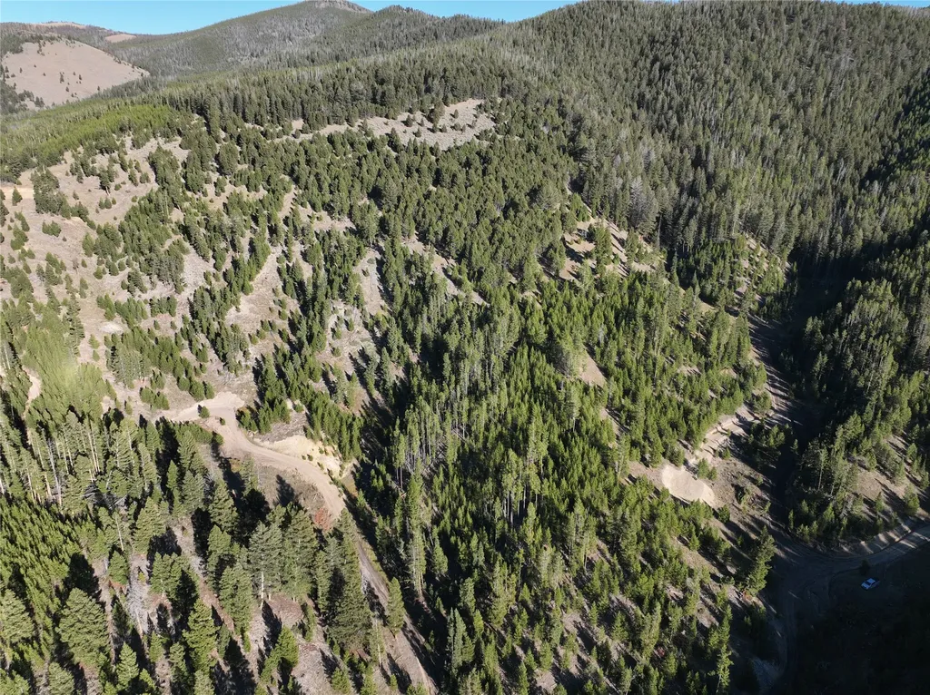 Lot 5 Ruby Mine Road Butte MT 59701